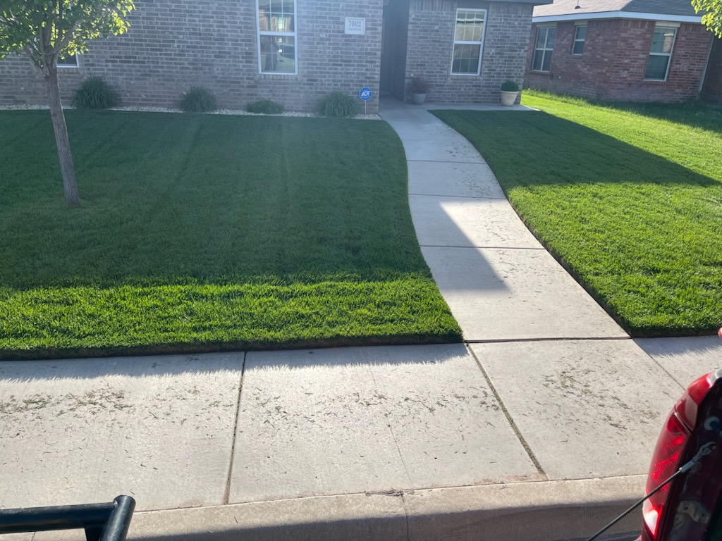 767835868.jpg