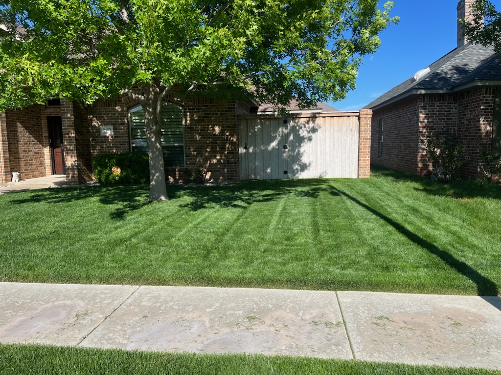 767917041.jpg